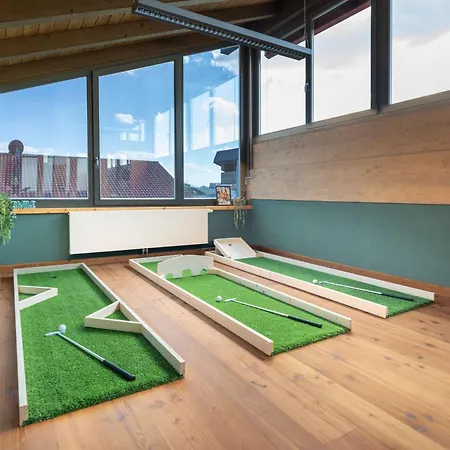 Alpine Clubhouse Wellness-entertainment-villa